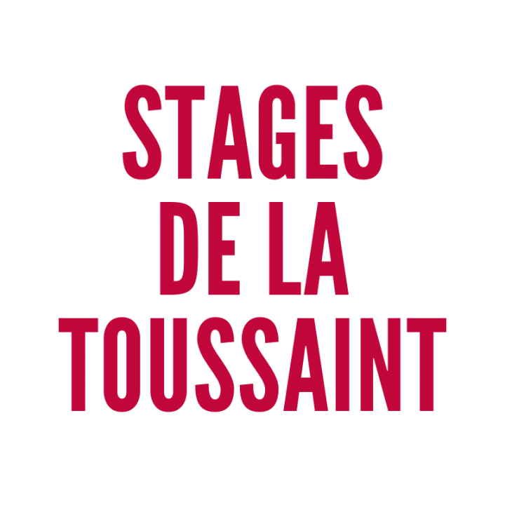 stages d'avril-4