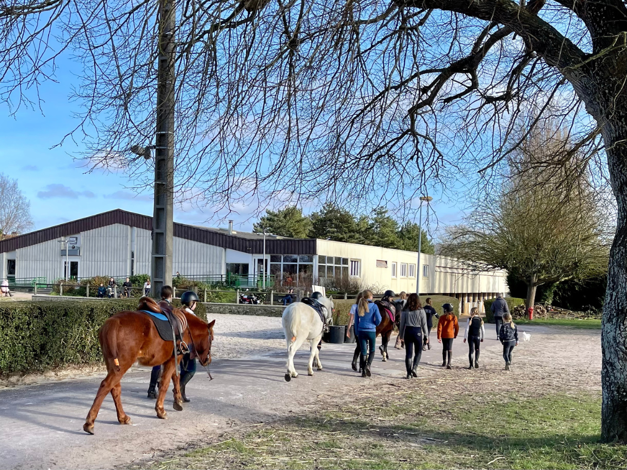 poneys dans lallee