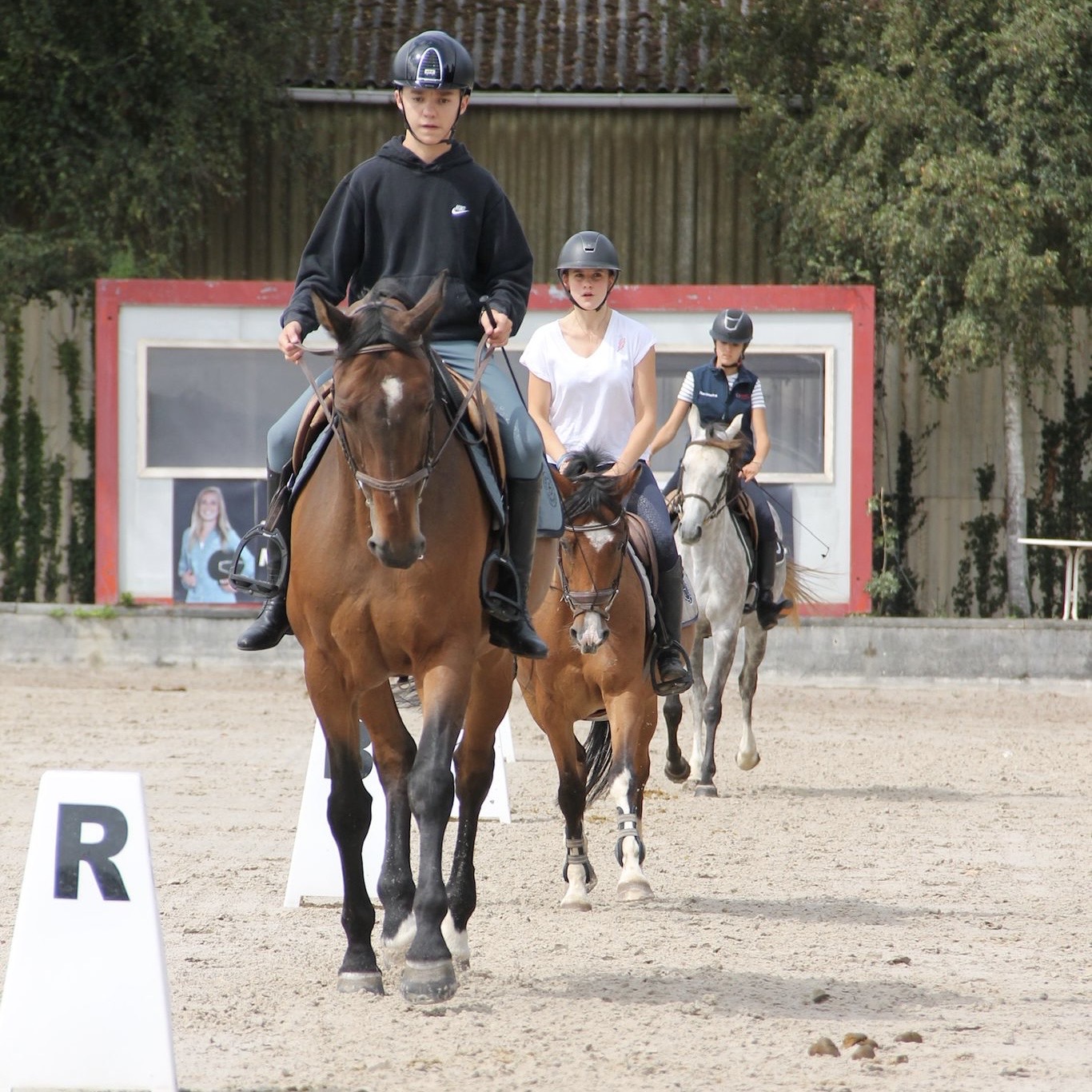 1a443034-feda-49b7-9a22-c5cc1a587eca