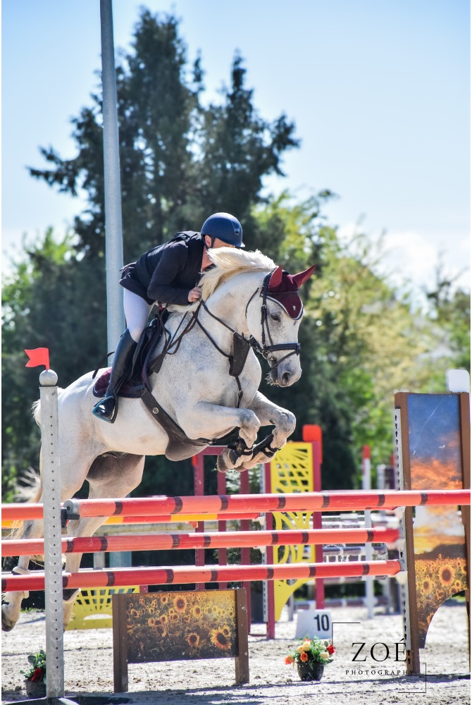 Design sans titre - 118